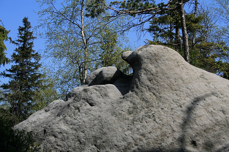 Original image